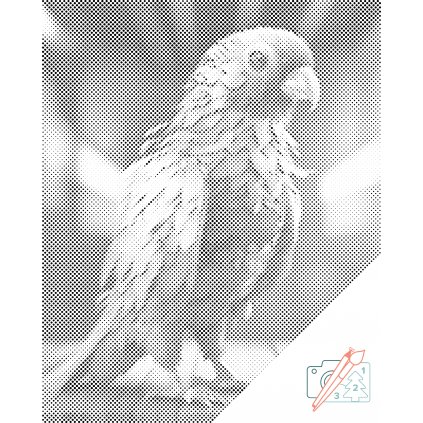 Tečkování - Hrdý papoušek