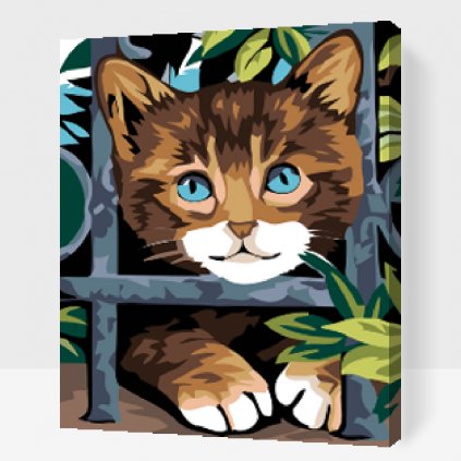 Malování podle čísel - Kočička za plotem