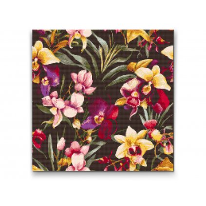 Diamantové malování - Květinové pozadí - orchidej
