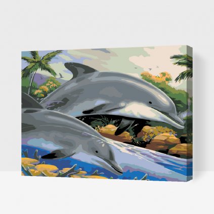 Malování podle čísel - Delfíni v moři