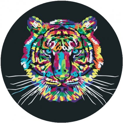 3019 5 malovani podle cisel barevny tygr kulaty ram