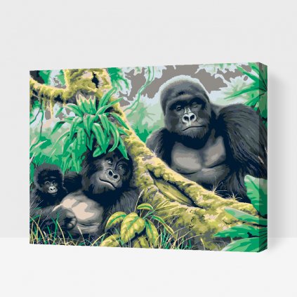Malování podle čísel - Gorilí rodinka