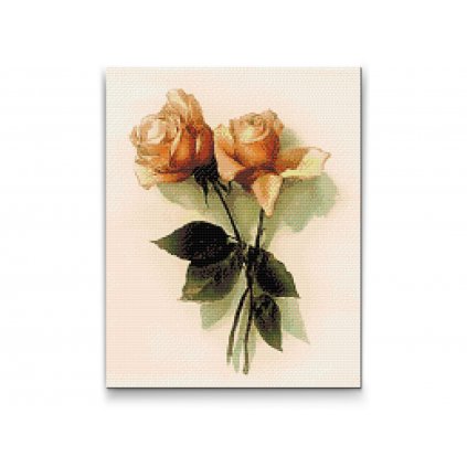 Diamantové malování - Vintage růže 2