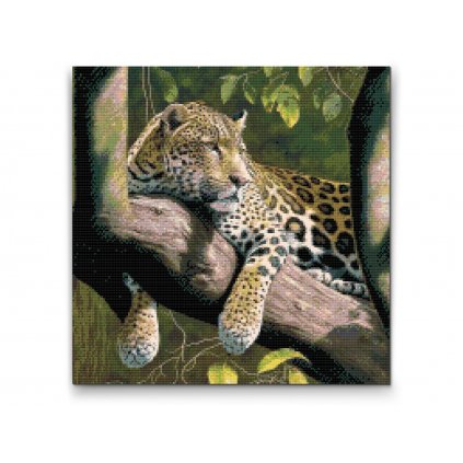 Diamantové malování - Zahleděný leopard