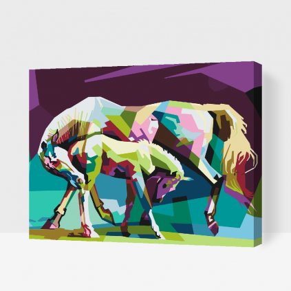 Malování podle čísel - Barevní koně