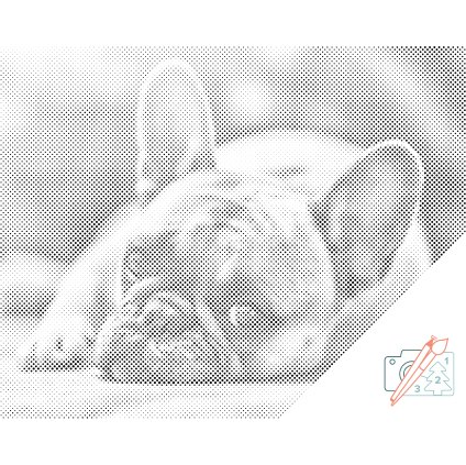 Tečkování - Buldoček