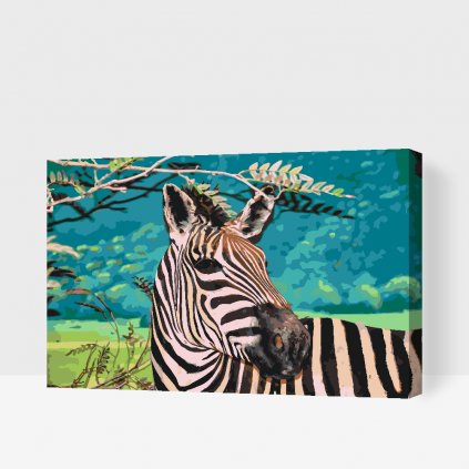 Malování podle čísel - Volně žijící zebra