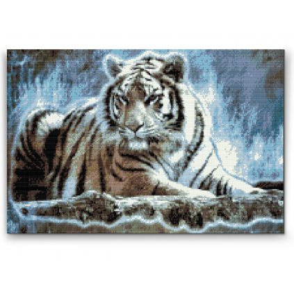 Diamantové malování - Bengálský tygr