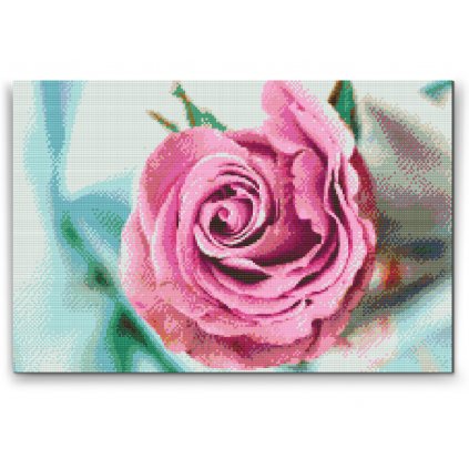Diamantové malování - Hlavička růže