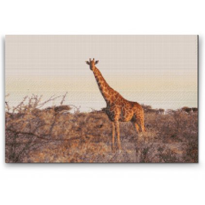 Diamantové malování - Žirafa ve volné přírodě