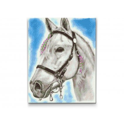 Diamantové malování - Bílý kůň