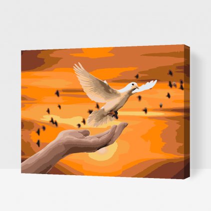 Malování podle čísel - Bílá holubice