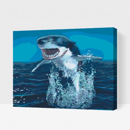 Malování podle čísel - Žralok nad vodou