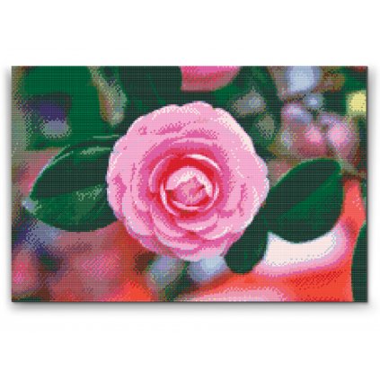 Diamantové malování - Růžová kamélie