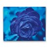 Diamantové malování - Modrá růže
