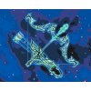 Malování podle čísel - Střelec/Sagittarius