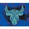 Malování podle čísel - Býk/Taurus