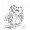 Tečkování - Sova s velkýma očky