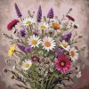 M11_Malování_podle_čísel_-_Kytice_lučních_květů