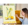 M9_Malování_podle_čísel_-_Lemonade