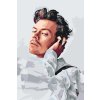 Malování podle čísel - Harry Styles 6