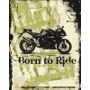 Malování podle čísel - Born to Ride