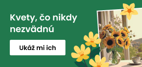 category_banner_big_mobile