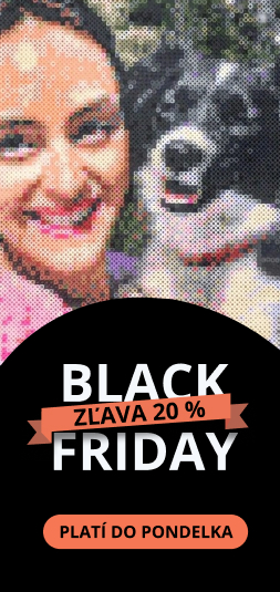 category_banner_small primary