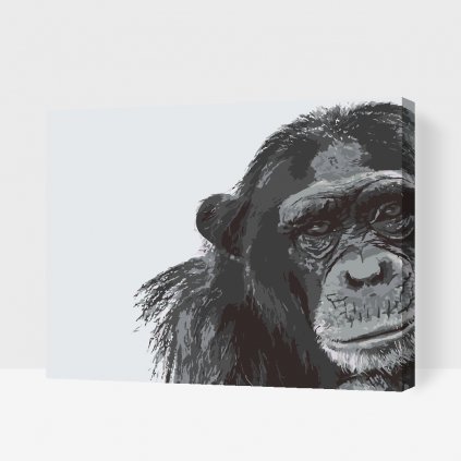 Maľovanie podľa čísiel - Šimpanz