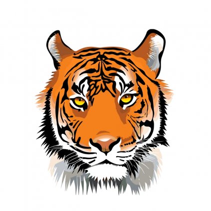 Maľovanie podľa čísiel - Hlava tigra