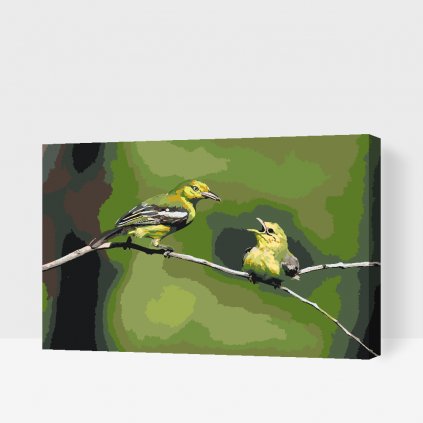 Maľovanie podľa čísiel - Vtáci na strome