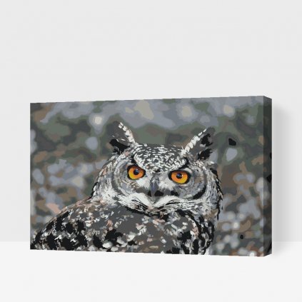 Maľovanie podľa čísiel - Sova 3