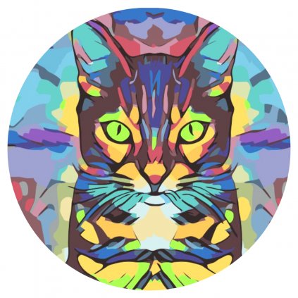 Maľovanie podľa čísiel - Farebná mačka