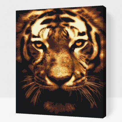 Malování podle čísel - Tiger vo svetle