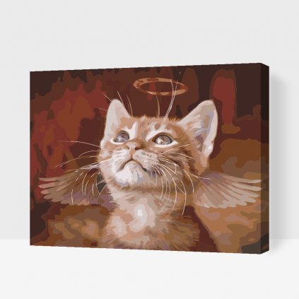 Malování podle čísel - Anjelská mačka