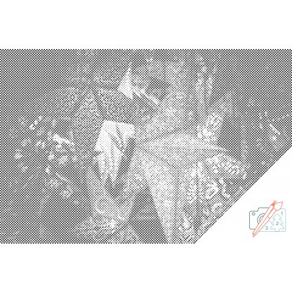 Bodkovanie - Lampáše