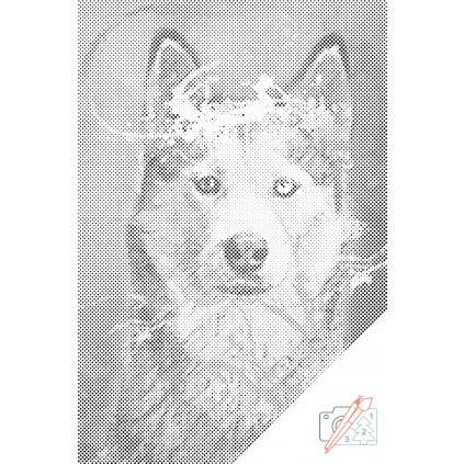 Bodkovanie - Portrét psa