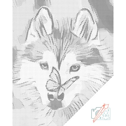 Bodkovanie - Motýľ a husky