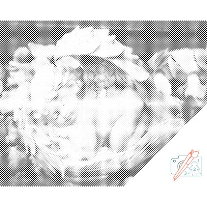 Bodkovanie - Anjelik