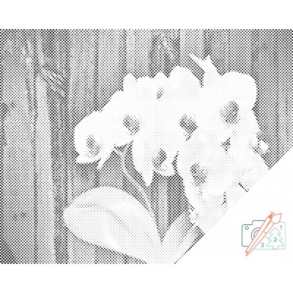 Bodkovanie - Biela orchidea