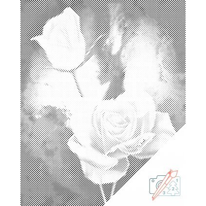 Bodkovanie - Biele ruže