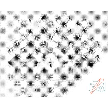 Bodkovanie - Pelargónie na vode