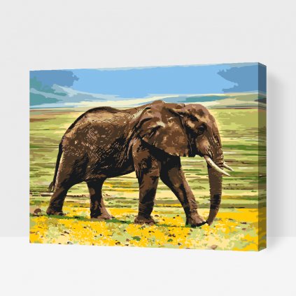 Maľovanie podľa čísiel - Safari - slon