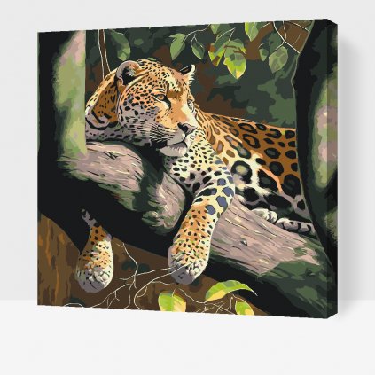 Malování podle čísel - Zahleděný leopard
