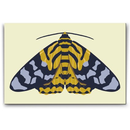 Malovanie_podla_cisiel_Farebna_mola_M2