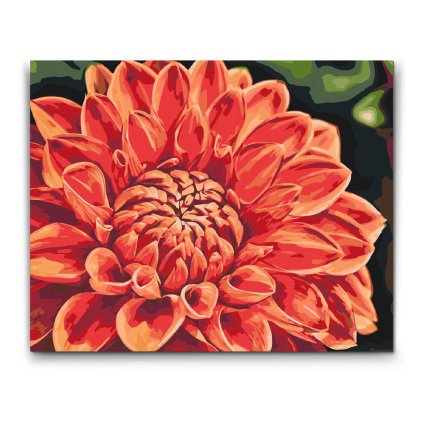 Malovanie_podla_cisiel_Cervena_dahlia_M2