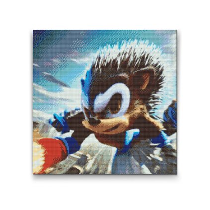 Diamantové malování - Ježek sonic