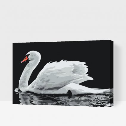 Maľovanie podľa čísiel - Biela labuť