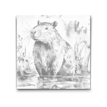 M2_Bodkovanie_-_Capybara_2