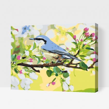 Maľovanie podľa čísiel - Jarný vtáčik